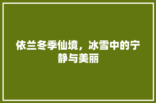 依兰冬季仙境，冰雪中的宁静与美丽