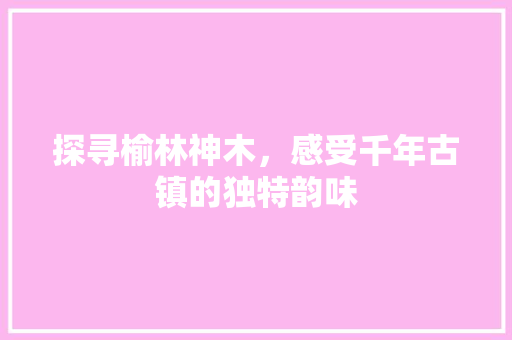 探寻榆林神木，感受千年古镇的独特韵味  第1张