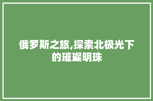 俄罗斯之旅,探索北极光下的璀璨明珠  第1张