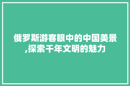 俄罗斯游客眼中的中国美景,探索千年文明的魅力  第1张