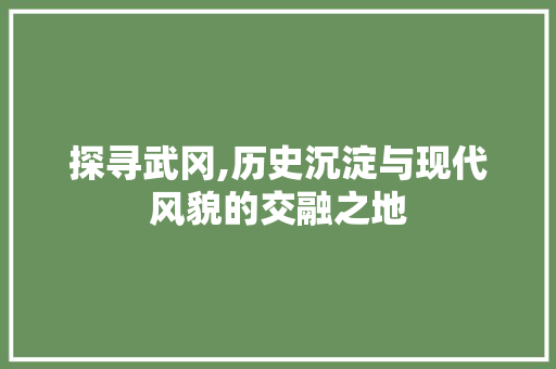 探寻武冈,历史沉淀与现代风貌的交融之地