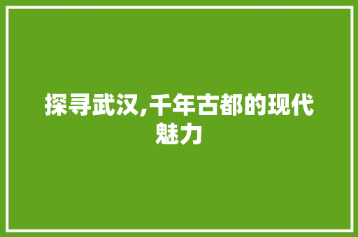 探寻武汉,千年古都的现代魅力  第1张