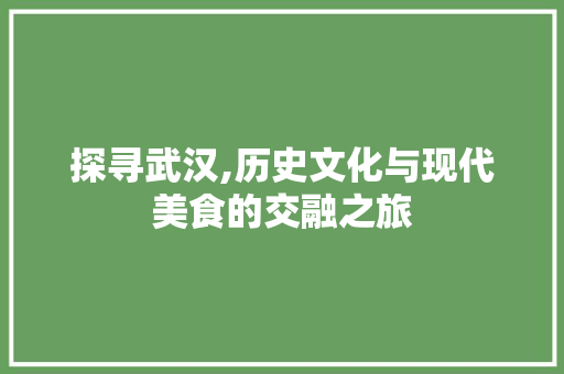 探寻武汉,历史文化与现代美食的交融之旅  第1张