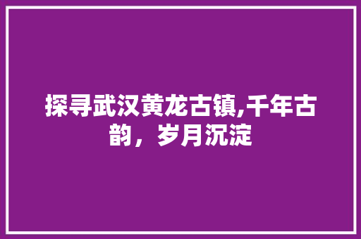 探寻武汉黄龙古镇,千年古韵，岁月沉淀