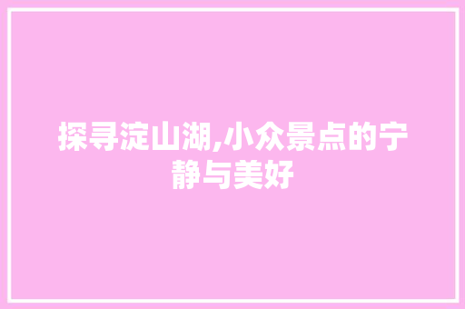 探寻淀山湖,小众景点的宁静与美好