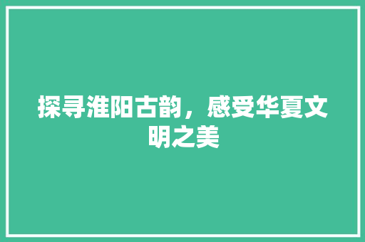 探寻淮阳古韵，感受华夏文明之美
