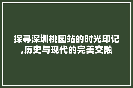 探寻深圳桃园站的时光印记,历史与现代的完美交融