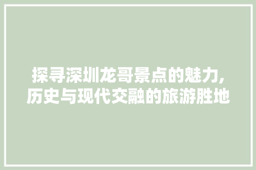 探寻深圳龙哥景点的魅力,历史与现代交融的旅游胜地