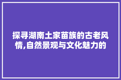 探寻湖南土家苗族的古老风情,自然景观与文化魅力的完美融合