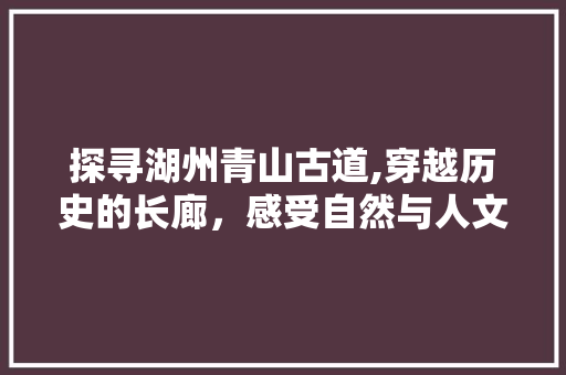 探寻湖州青山古道,穿越历史的长廊，感受自然与人文的交融