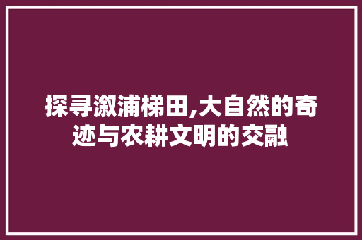 探寻溆浦梯田,大自然的奇迹与农耕文明的交融