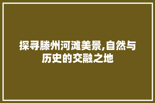 探寻滕州河滩美景,自然与历史的交融之地
