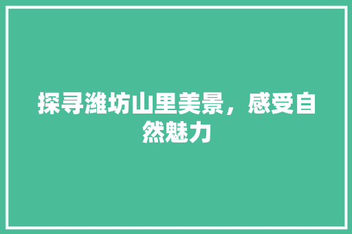 探寻潍坊山里美景，感受自然魅力