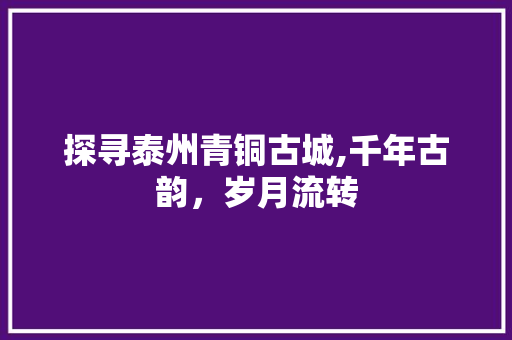 探寻泰州青铜古城,千年古韵，岁月流转