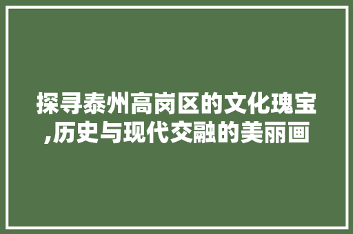 探寻泰州高岗区的文化瑰宝,历史与现代交融的美丽画卷  第1张