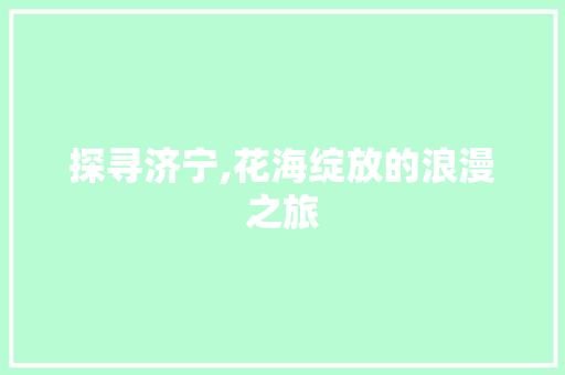 探寻济宁,花海绽放的浪漫之旅