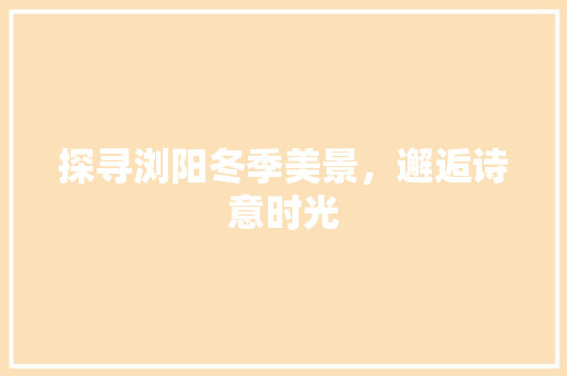 探寻浏阳冬季美景，邂逅诗意时光