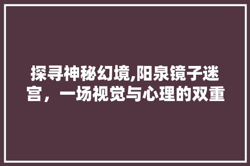 探寻神秘幻境,阳泉镜子迷宫，一场视觉与心理的双重挑战