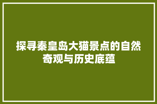 探寻秦皇岛大猫景点的自然奇观与历史底蕴