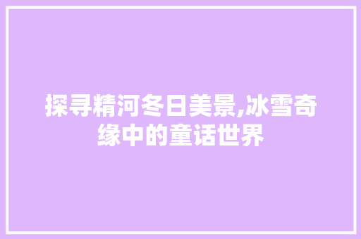 探寻精河冬日美景,冰雪奇缘中的童话世界