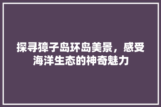 探寻獐子岛环岛美景，感受海洋生态的神奇魅力