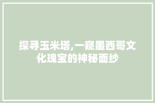 探寻玉米塔,一窥墨西哥文化瑰宝的神秘面纱