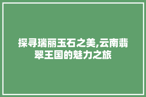 探寻瑞丽玉石之美,云南翡翠王国的魅力之旅