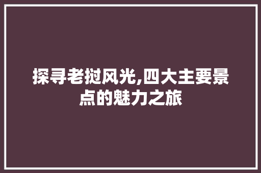探寻老挝风光,四大主要景点的魅力之旅  第1张