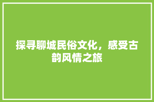 探寻聊城民俗文化，感受古韵风情之旅
