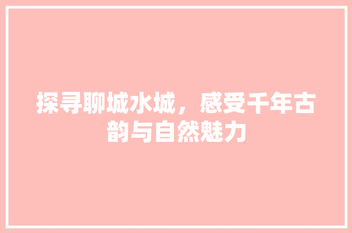 探寻聊城水城，感受千年古韵与自然魅力