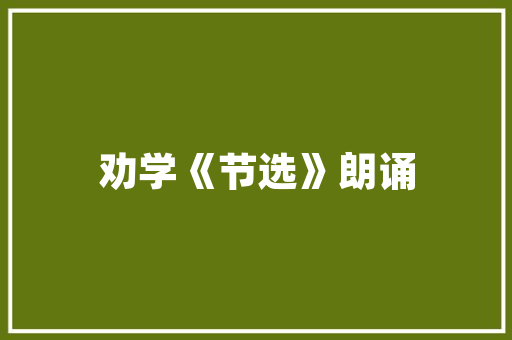 冬日暖阳下的亳州,探寻千年古都的冬季魅力