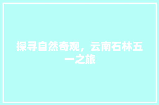 探寻自然奇观，云南石林五一之旅