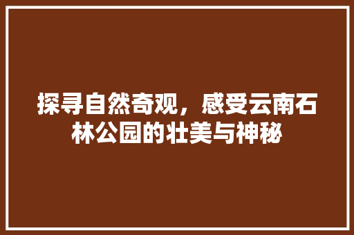 探寻自然奇观，感受云南石林公园的壮美与神秘