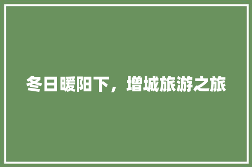 冬日暖阳下，增城旅游之旅