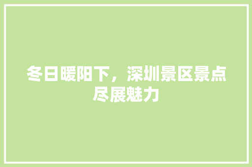 冬日暖阳下，深圳景区景点尽展魅力  第1张