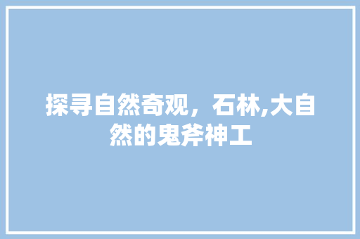 探寻自然奇观，石林,大自然的鬼斧神工