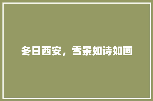 冬日西安，雪景如诗如画  第1张
