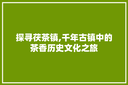 探寻茯茶镇,千年古镇中的茶香历史文化之旅