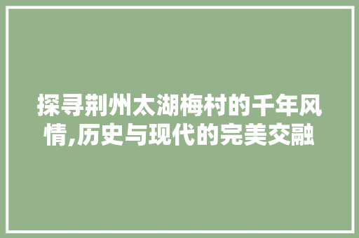探寻荆州太湖梅村的千年风情,历史与现代的完美交融