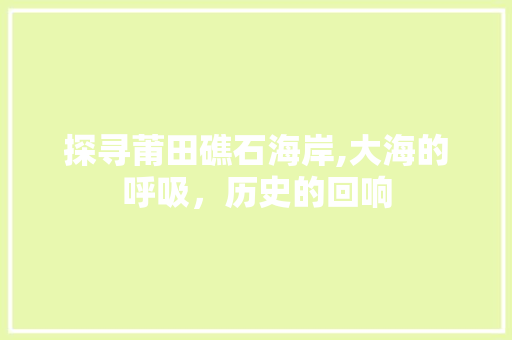 探寻莆田礁石海岸,大海的呼吸，历史的回响
