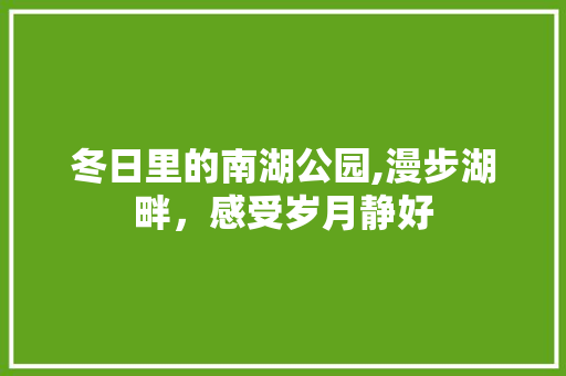 冬日里的南湖公园,漫步湖畔，感受岁月静好  第1张