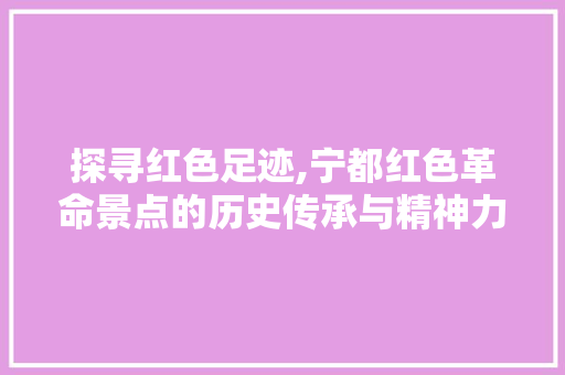 探寻红色足迹,宁都红色革命景点的历史传承与精神力量