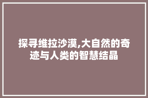 探寻维拉沙漠,大自然的奇迹与人类的智慧结晶