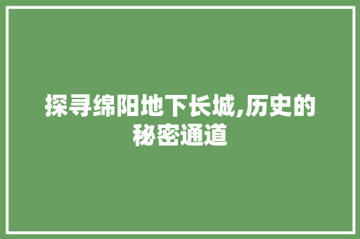 探寻绵阳地下长城,历史的秘密通道