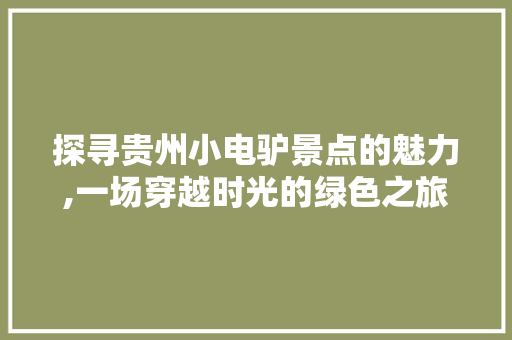 探寻贵州小电驴景点的魅力,一场穿越时光的绿色之旅  第1张