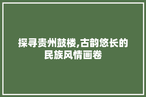 探寻贵州鼓楼,古韵悠长的民族风情画卷