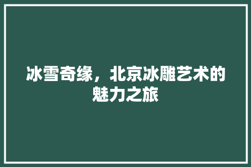 冰雪奇缘，北京冰雕艺术的魅力之旅