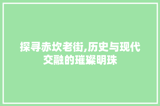 探寻赤坎老街,历史与现代交融的璀璨明珠