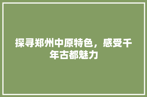 探寻郑州中原特色，感受千年古都魅力