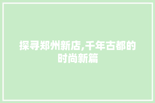 探寻郑州新店,千年古都的时尚新篇